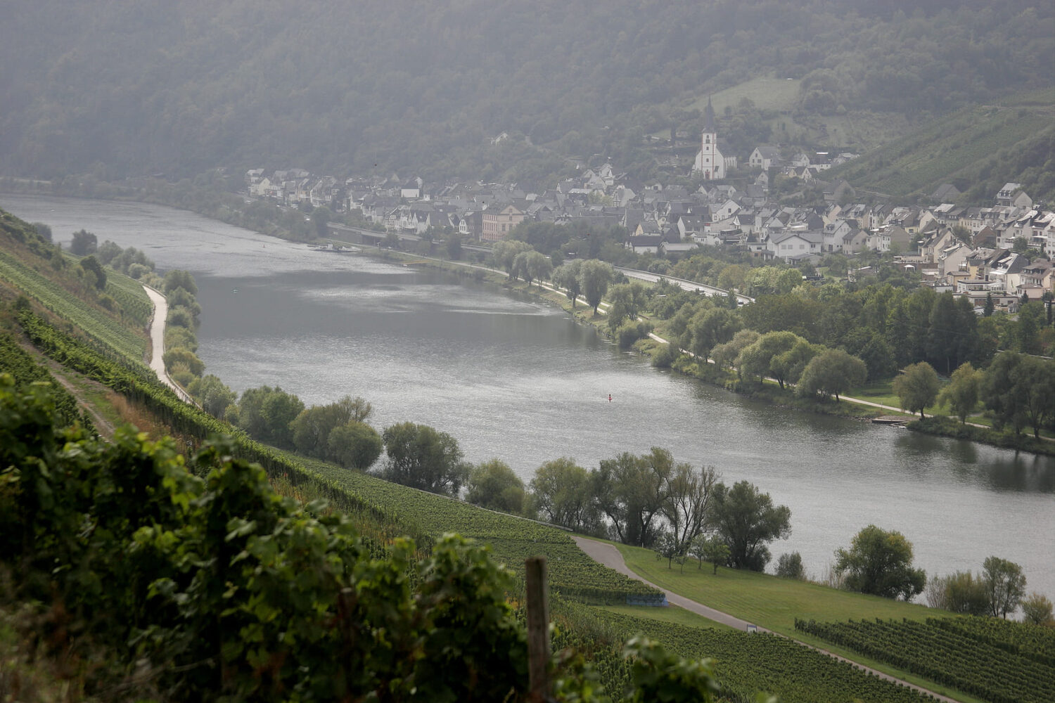 Herzlich-Willkommen-im-Weingut-Stölben-Briedel-Mosel