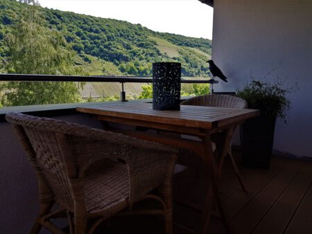 Weingut-Stölben-Briedel-Mosel-Ferienwohnung Bacchus-Urlaub